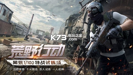 手游视频广告或荒野行动眼睛激活码,数据支持计划解析_顶级版_v4.281